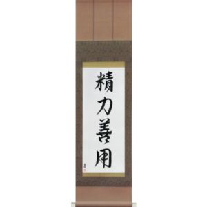 Maximum Efficiency Minimum Effort (seiryoku zen'you)