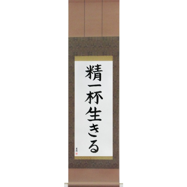 Japanese Scroll of Live Life (seiippai ikiru) in a block font (vb4a) by Master Japanese Calligrapher Eri Takase