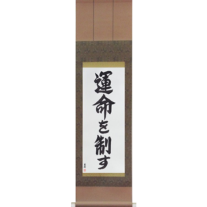 Japanese Scroll of I Control My Destiny (unmei wo seisu) in a semi-cursive font (vs5c) by Master Japanese Calligrapher Eri Takase